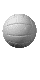 /Files/images/vball.gif